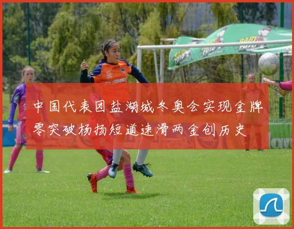 中国代表团盐湖城冬奥会实现金牌零突破杨扬短道速滑两金创历史