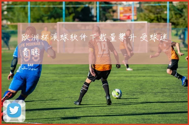 欧洲杯滚球软件下载量攀升 受球迷青睐