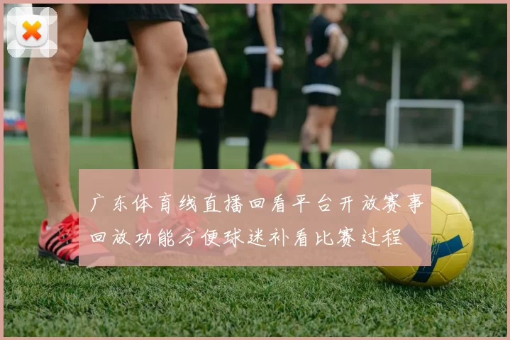 广东体育线直播回看平台开放赛事回放功能方便球迷补看比赛过程